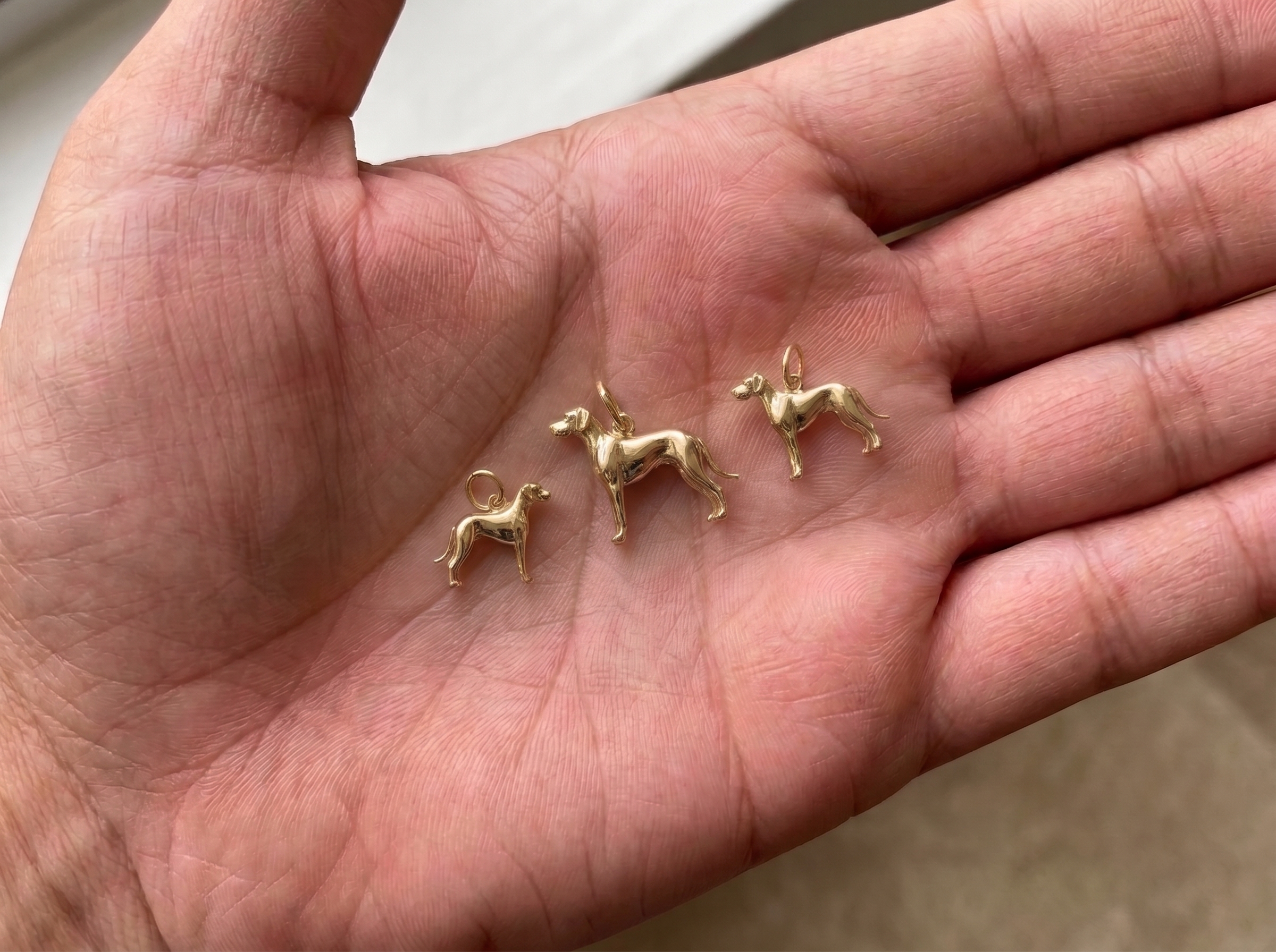 Three polished gold dog charms in different sizes resting in a hand
